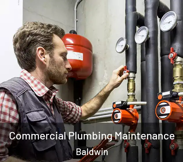  Commercial Plumbing Maintenance Baldwin