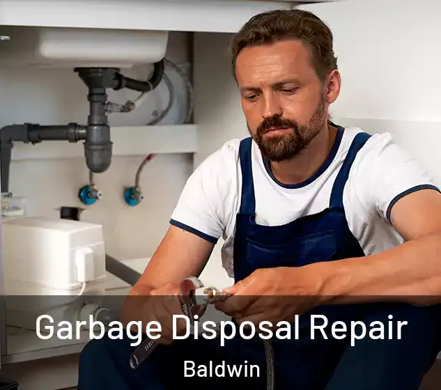  Garbage Disposal Repair Baldwin