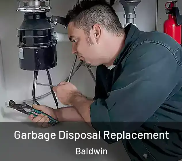  Garbage Disposal Replacement Baldwin