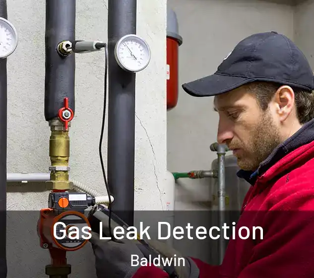  Gas Leak Detection Baldwin