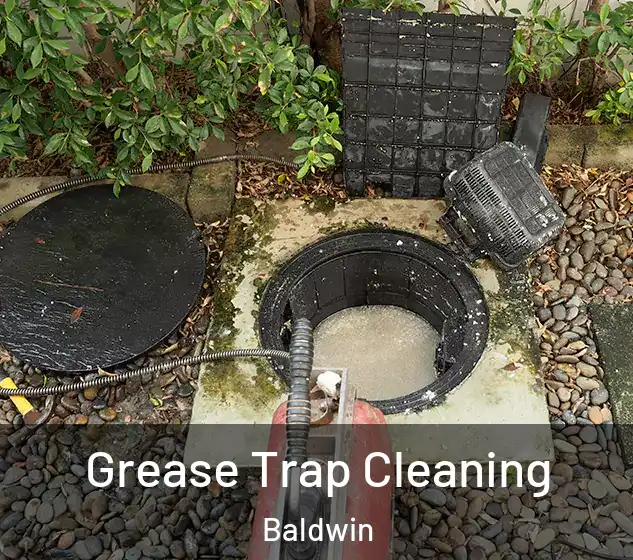  Grease Trap Cleaning Baldwin