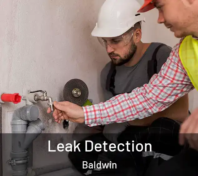  Leak Detection Baldwin
