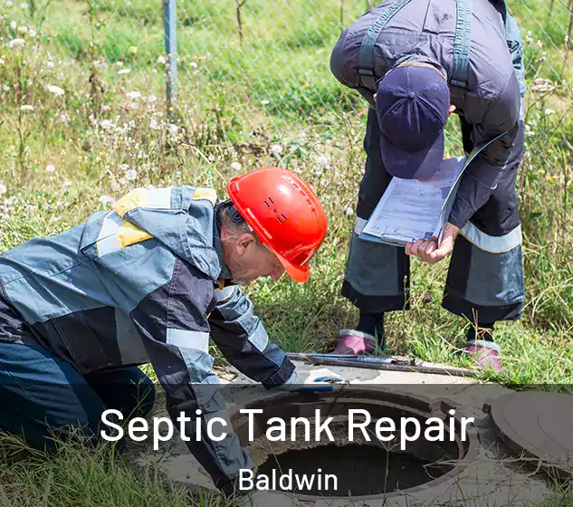  Septic Tank Repair Baldwin