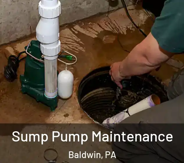  Sump Pump Maintenance Baldwin, PA