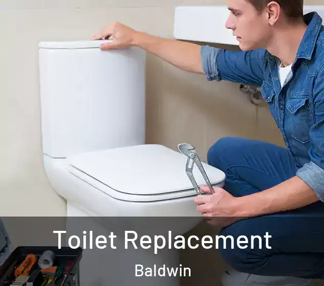  Toilet Replacement Baldwin