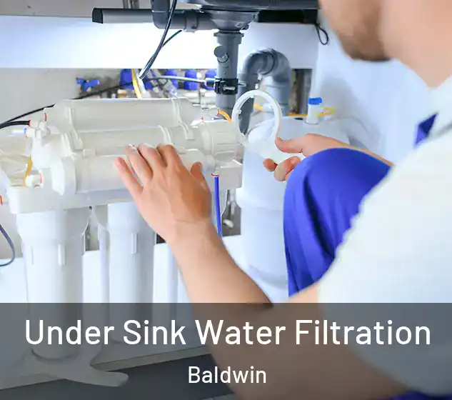  Under Sink Water Filtration Baldwin
