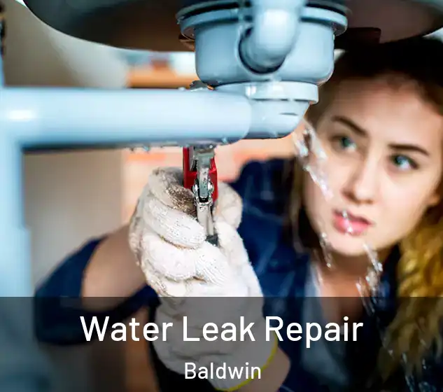 Water Leak Repair Baldwin